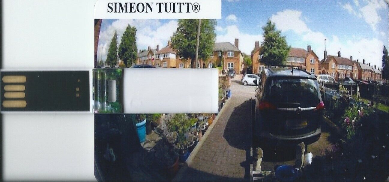 SAMPLE SIMEON TUITT SMART HOME Design 1GB USB Memory Stick Flash Drive Backup Credit Card USB