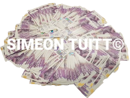 AI - My Licensing Updates And New Digital Products Updates - Video Downloads - Digital Delivery